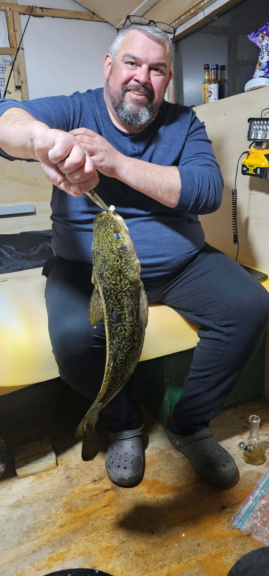 Bob holding a burbot in his ice shanty